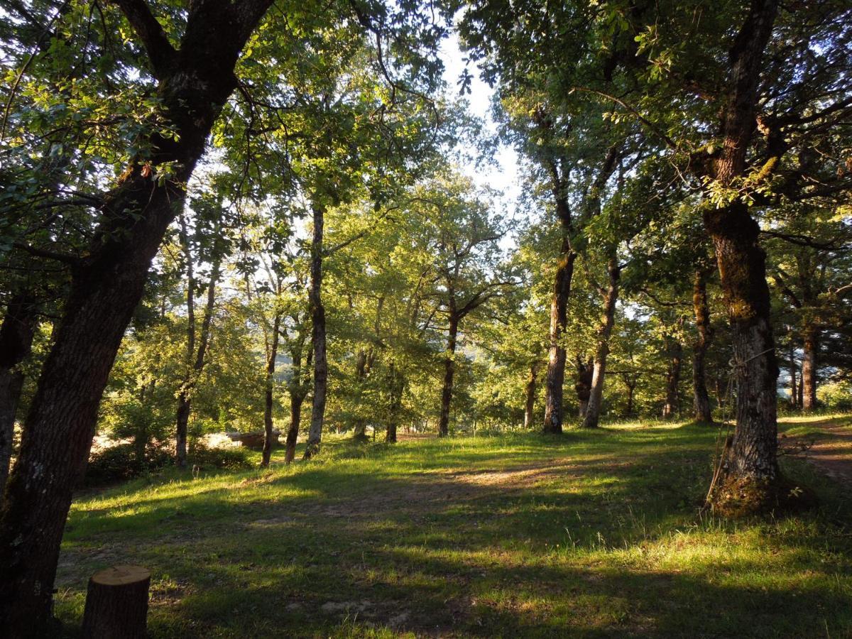 Campsite Drome Esprit Nature Le Poet-Celard